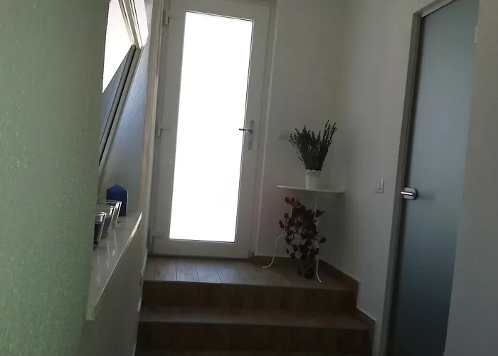 Viola & Free Parking 시베니크