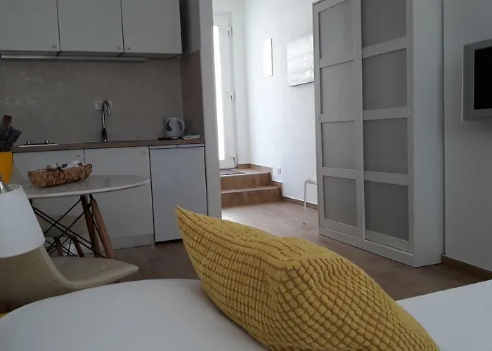 Viola & Free Parking *